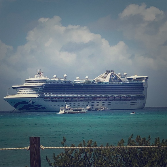 Meet your Posher, Suzy - Picture 1 of 1